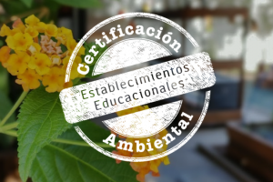 Toda una distinción para empezar a celebrar los 50 años Toda una distinción para empezar a celebrar los 50 años