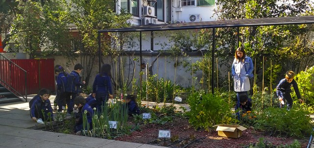 Taller de Educación Ambiental: una semilla para el futuro