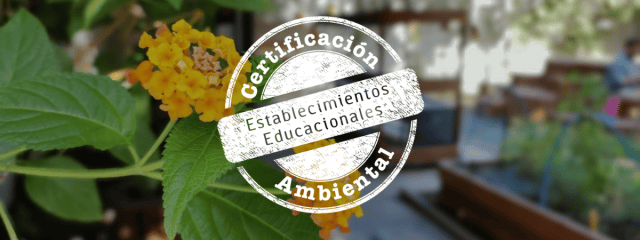 TEI recibe oficialmente diploma de Certificación Ambiental otorgada por el Ministerio del Medio Ambiente